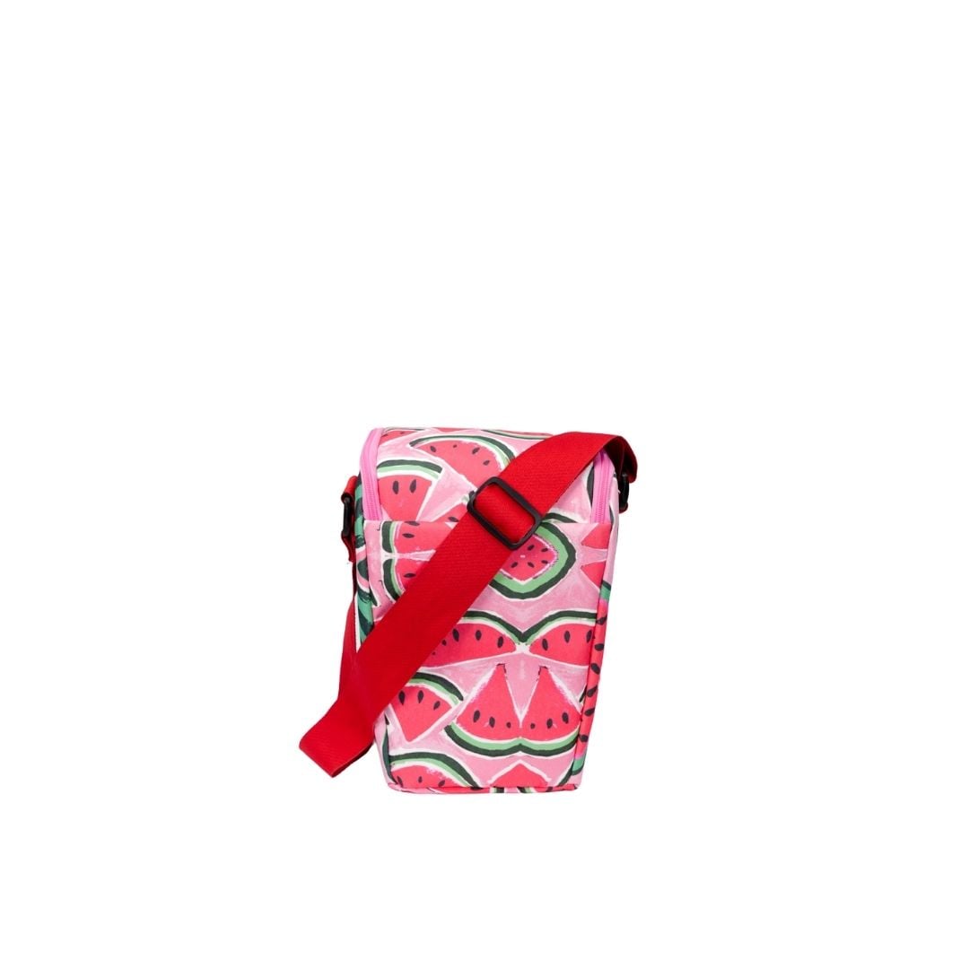Cubs Watermelon Pink Fiesta Seeds 12 Cans Cooler