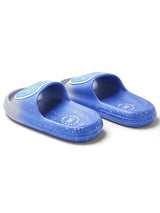 Cubs Gaming Blue Slide