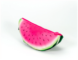 Cubs Watermelon Fushia Large Pouch